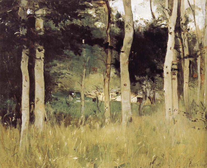 Berthe Morisot Village china oil painting image